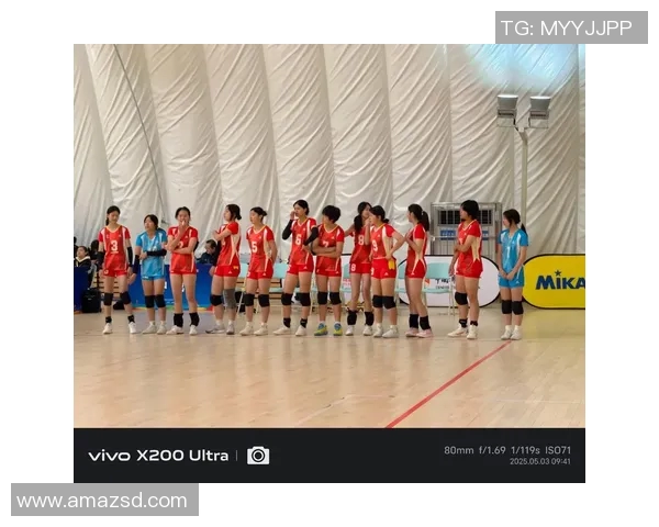 重庆排球队的战术解析与控制体系构建探讨