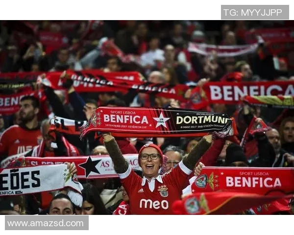 欧冠门票系统瘫痪数万球迷苦等12小时抢购梦想门票