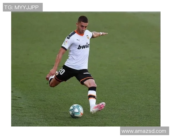 费兰托雷斯的崛起之路：从青训小将到世界足球新星的传奇旅程