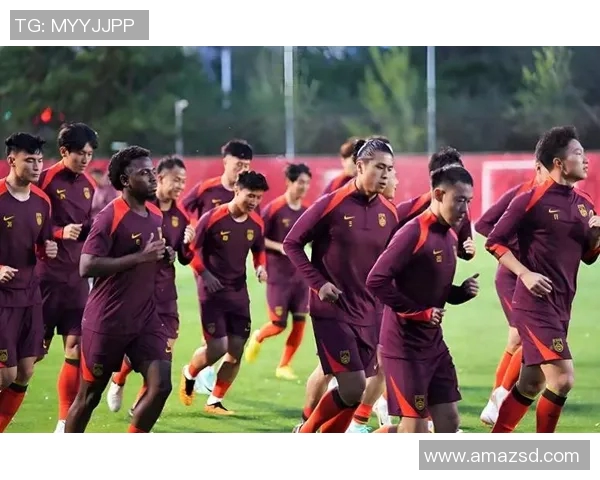 韩球迷热情助阵恒大对决大阪展现亚洲足球魅力与激情